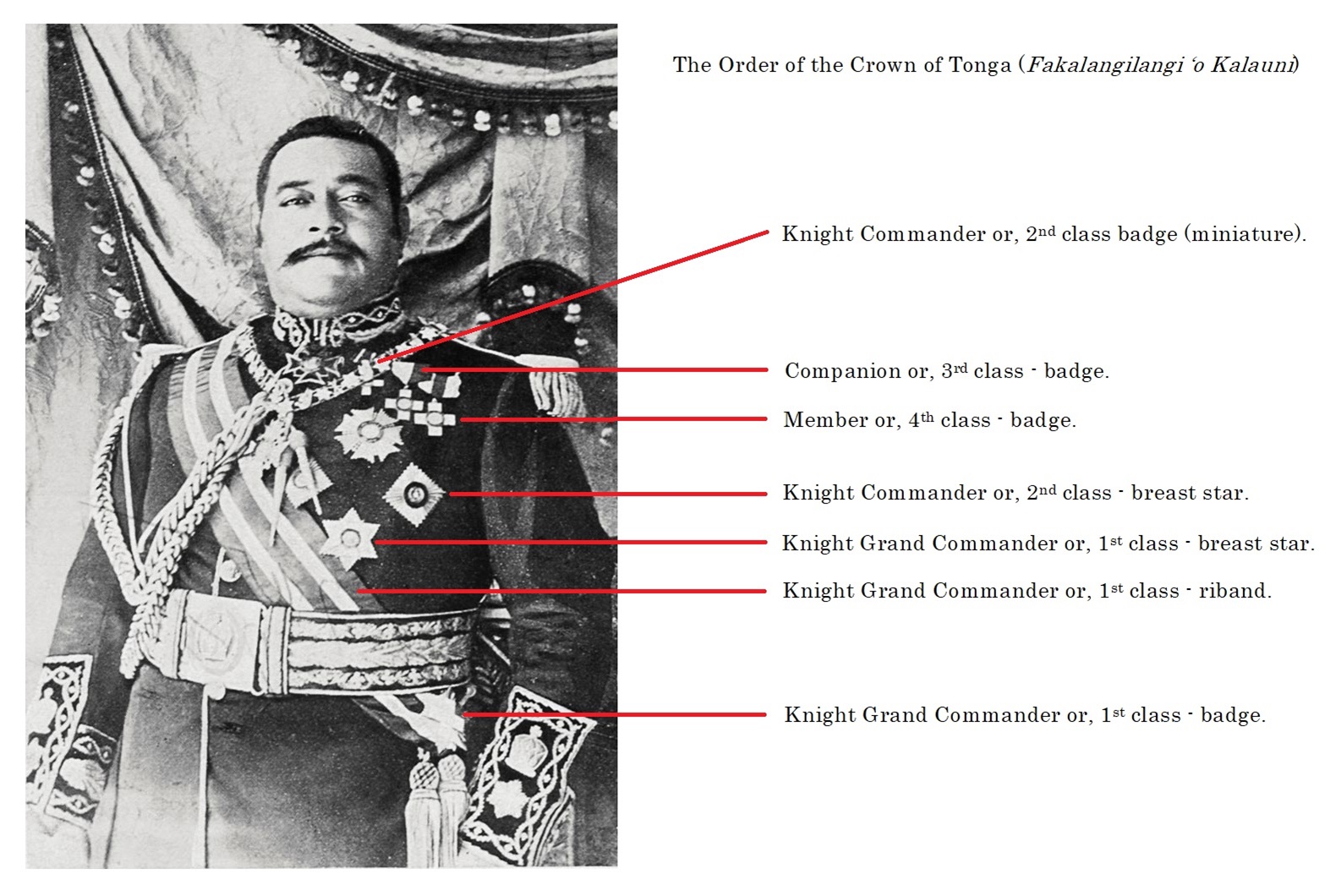 Copyright© Christopher Buyers