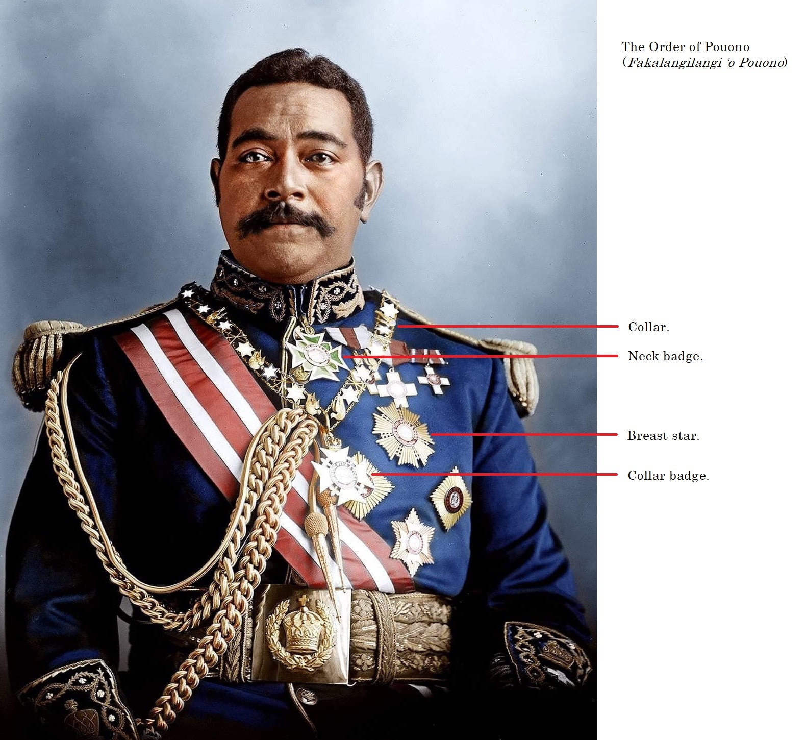 Copyright© Christopher Buyers